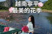 寧平最美的睡蓮季