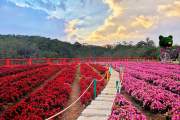 HO CHI MINH - NHA TRANG - DA LAT ( 6 DAYS 5 NIGHTS)